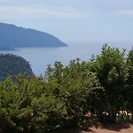 Shiva Camp