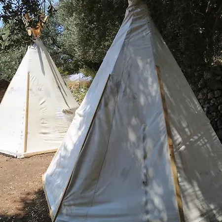 Camping Shiva Camp 3*