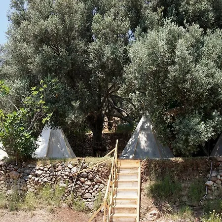 Shiva Camp Camping 3*