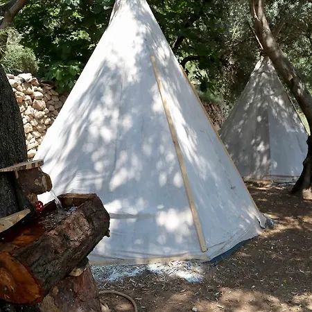Shiva Camp Camping Faralya