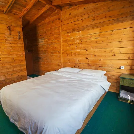 Shiva Camp