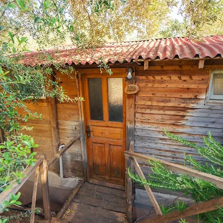 Shiva Camp Campeggio