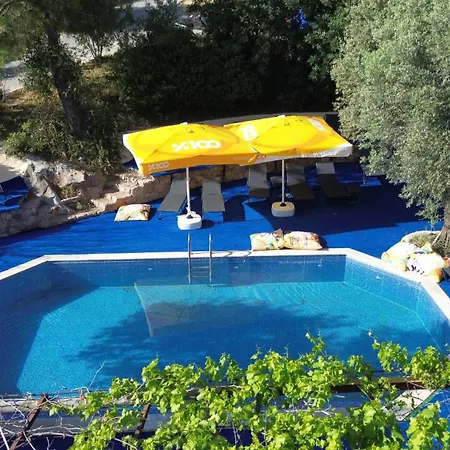 Shiva Camp 3*