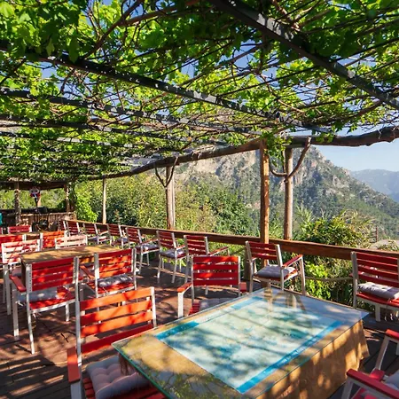 Camping Shiva Camp 3*