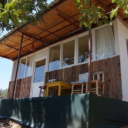 Shiva Camp Faralya