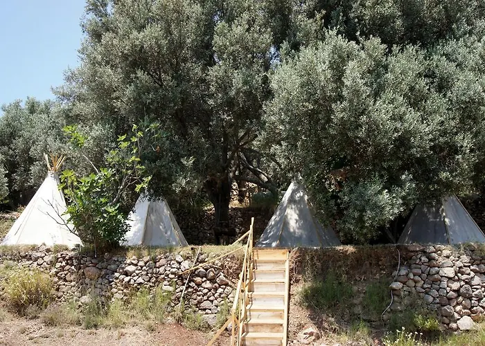 Shiva Camp Campingplatz 3*