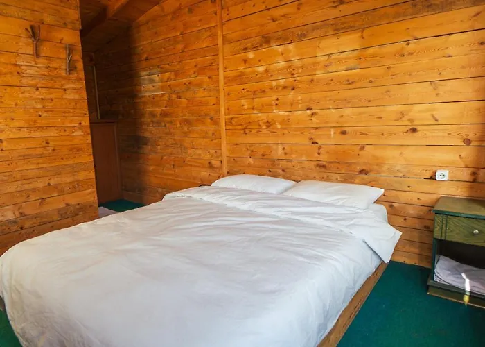 Shiva Camp