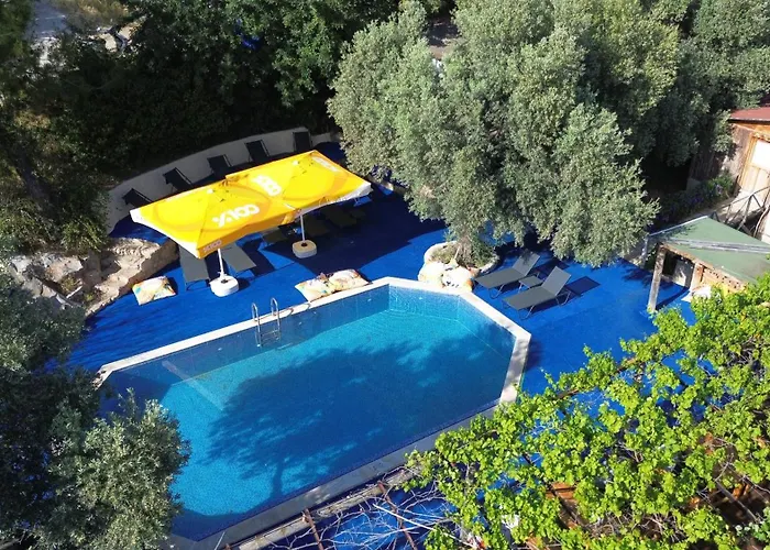 Shiva Camp 3*