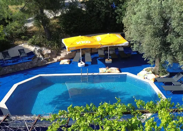Shiva Camp 3*