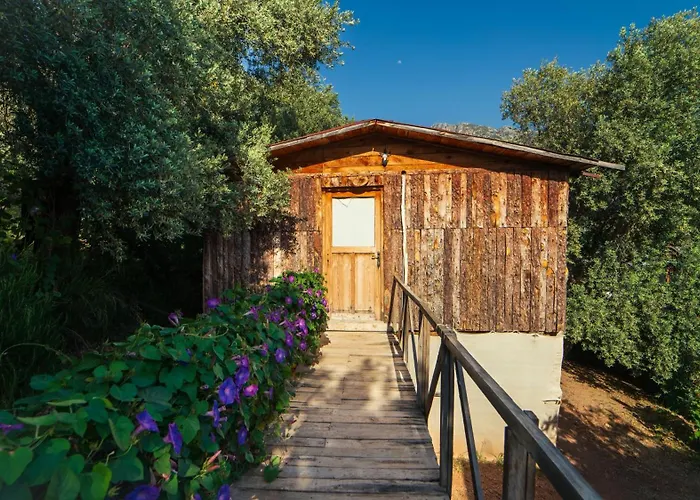 Shiva Camp Faralya