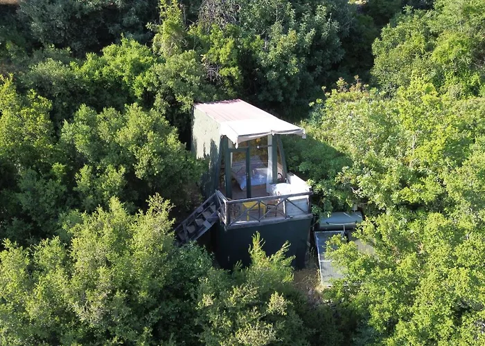 Shiva Camp 3* Faralya