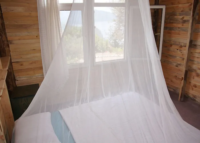 Shiva Camp