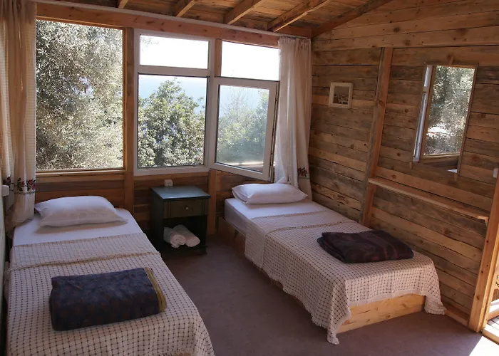 Shiva Camp