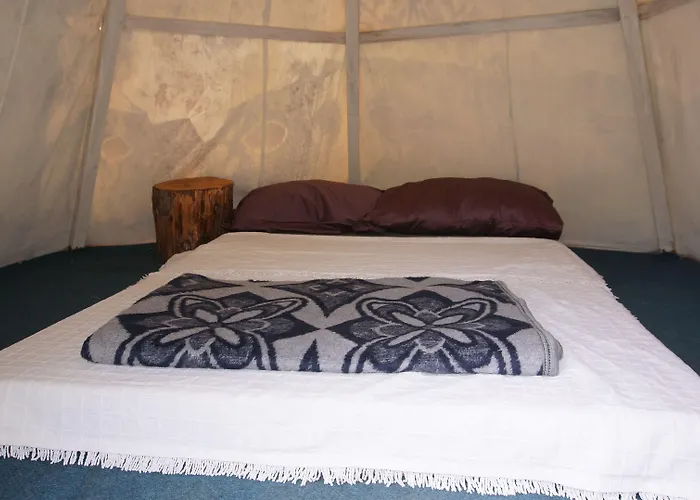 Shiva Camp 3*