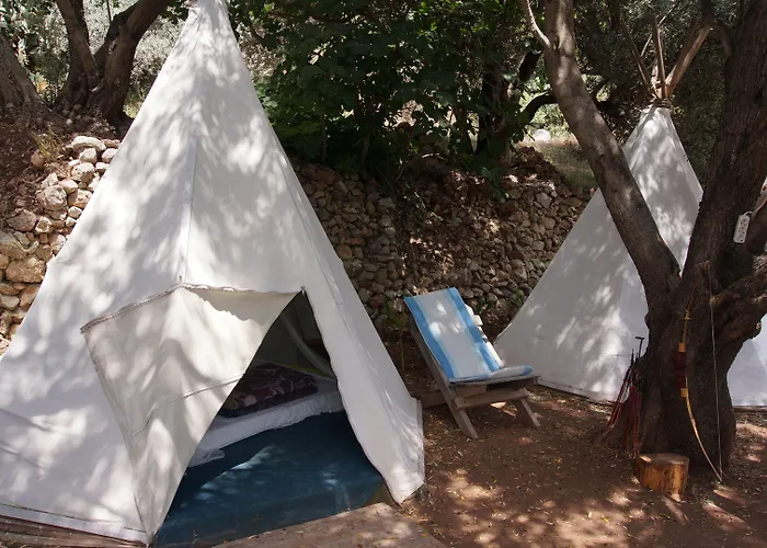 Shiva Camp