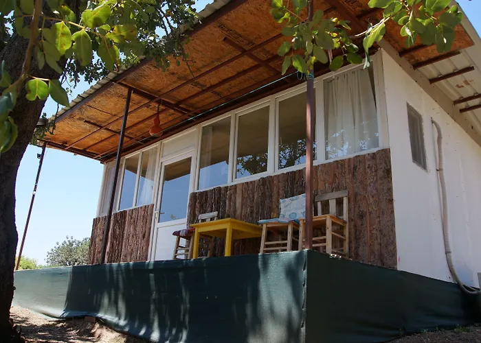 Shiva Camp Faralya