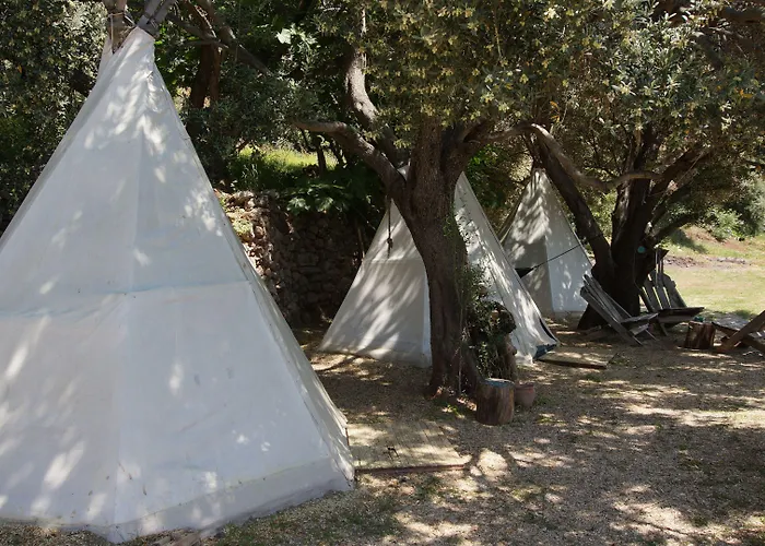 Shiva Camp 3*