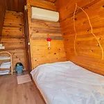 Shiva Camp 파랄리아