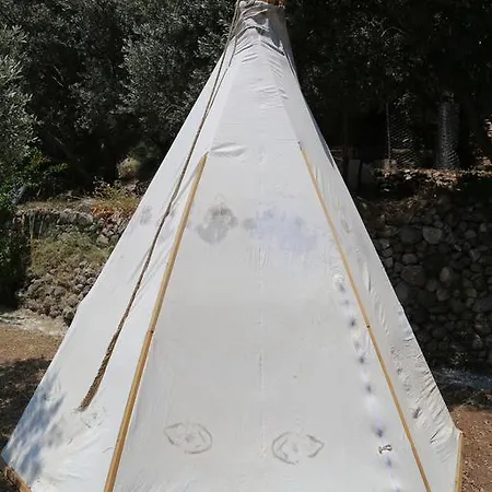 Shiva Camp אתר קמפינג פאראליה