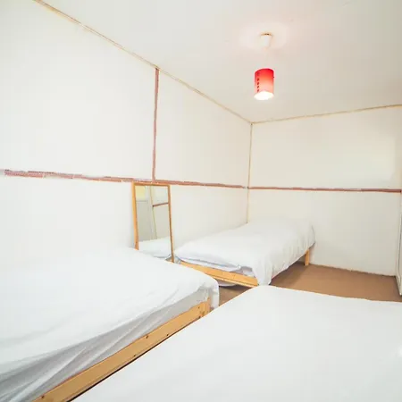 Shiva Camp 캠프장 3*