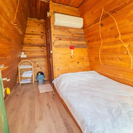 캠프장 Shiva Camp 3*