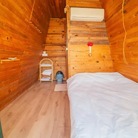 キャンプ場 Shiva Camp 3*