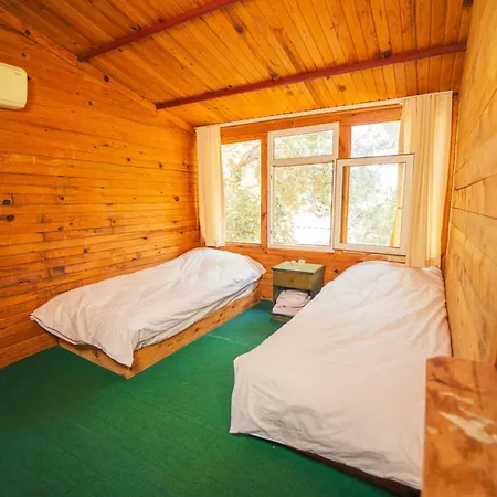 Shiva Camp אתר קמפינג פאראליה