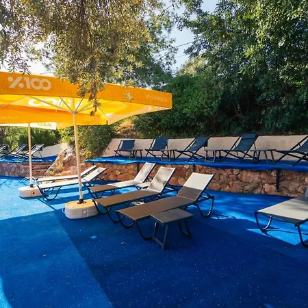 Shiva Camp 3* 파랄리아