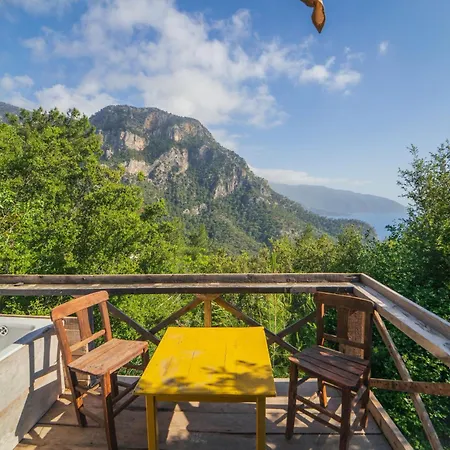 캠프장 Shiva Camp 3*