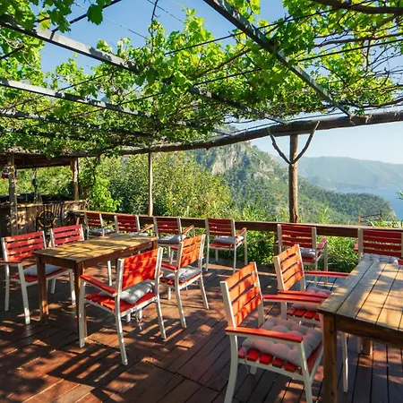 캠프장 Shiva Camp