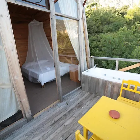 キャンプ場 Shiva Camp