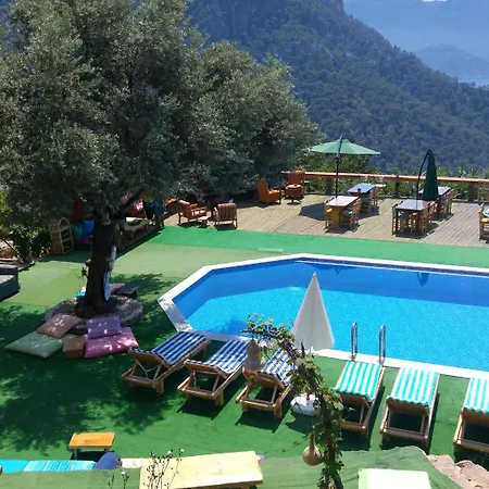Shiva Camp אתר קמפינג פאראליה