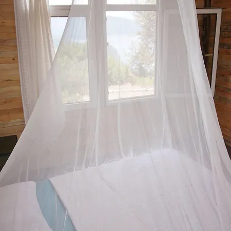 Shiva Camp