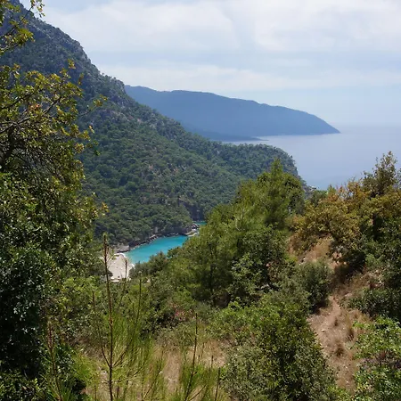 캠프장 Shiva Camp 3*