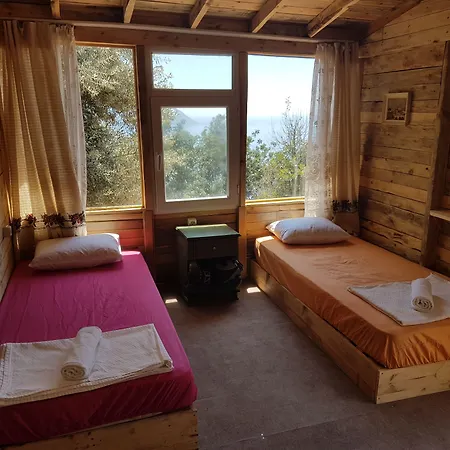 אתר קמפינג Shiva Camp