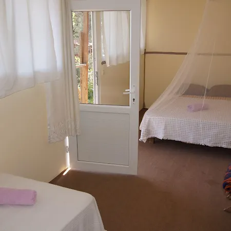 Shiva Camp 3* 파랄리아