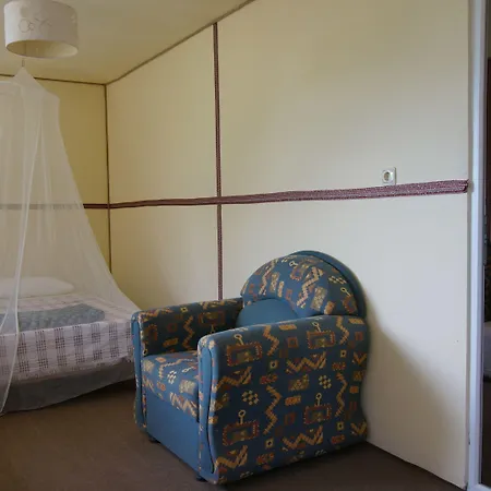 Shiva Camp פאראליה