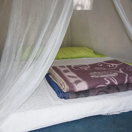 אתר קמפינג Shiva Camp