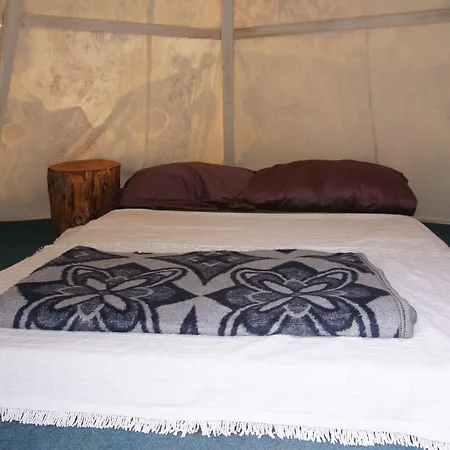 Shiva Camp 3*