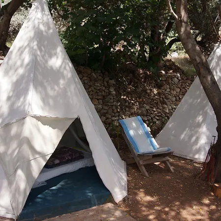 Shiva Camp