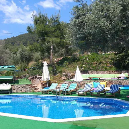 Shiva Camp אתר קמפינג 3*