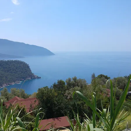 캠프장 Shiva Camp