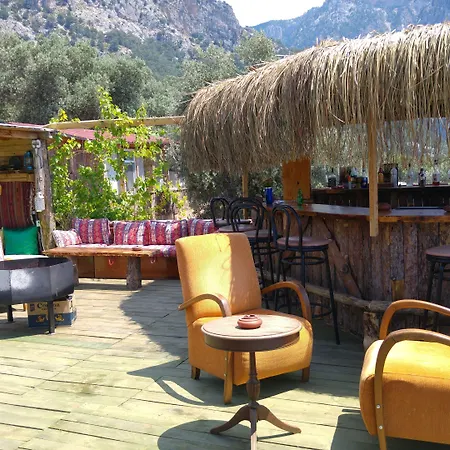 Shiva Camp אתר קמפינג