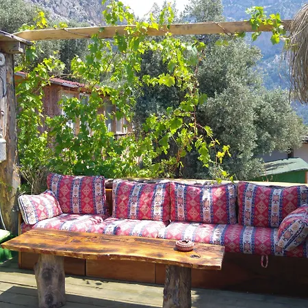 Shiva Camp פאראליה