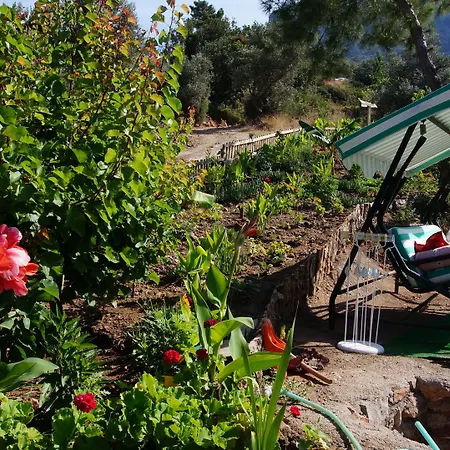 אתר קמפינג Shiva Camp פאראליה