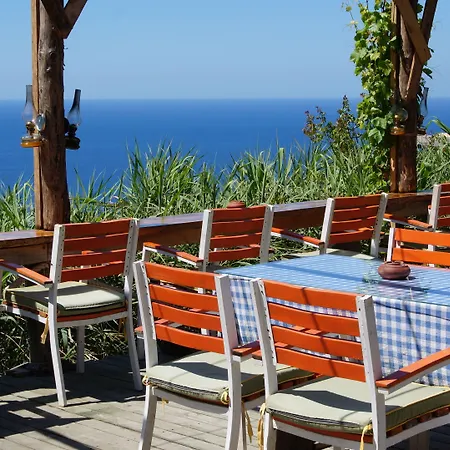 캠프장 Shiva Camp 파랄리아