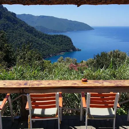 캠프장 Shiva Camp 3*