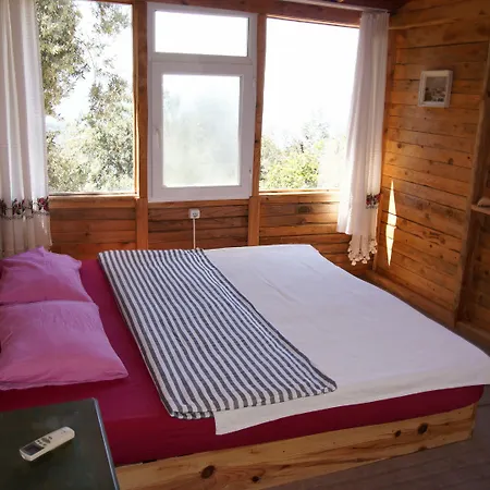 Shiva Camp אתר קמפינג 3*