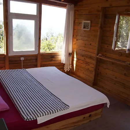 אתר קמפינג Shiva Camp 3*