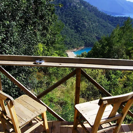 Shiva Camp 캠프장 3*